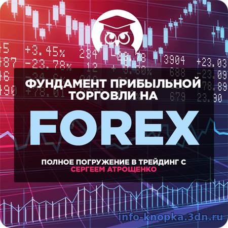 Видеокурс Фундамент прибыльной торговли на Forex купить скачать